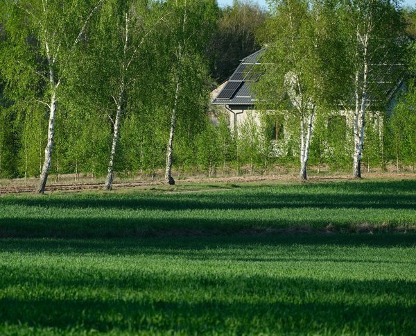 Comment optimiser l'isolation thermique de votre bâtiment en 2026